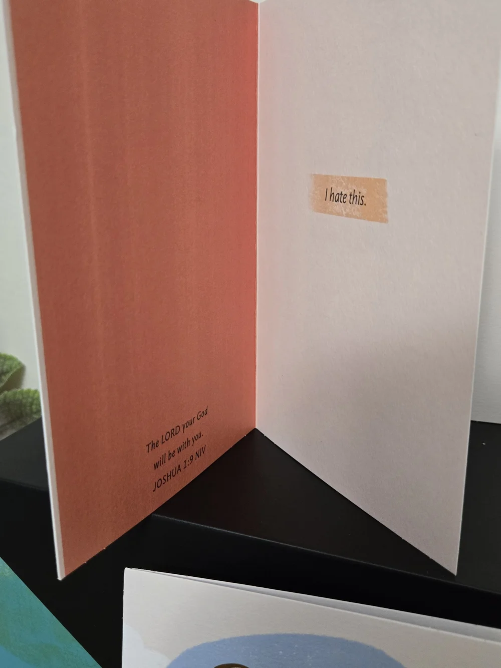 DaySpring Bible Bundle Including 8 Pack Of Cards & Promise Box Of 141 Cards. New